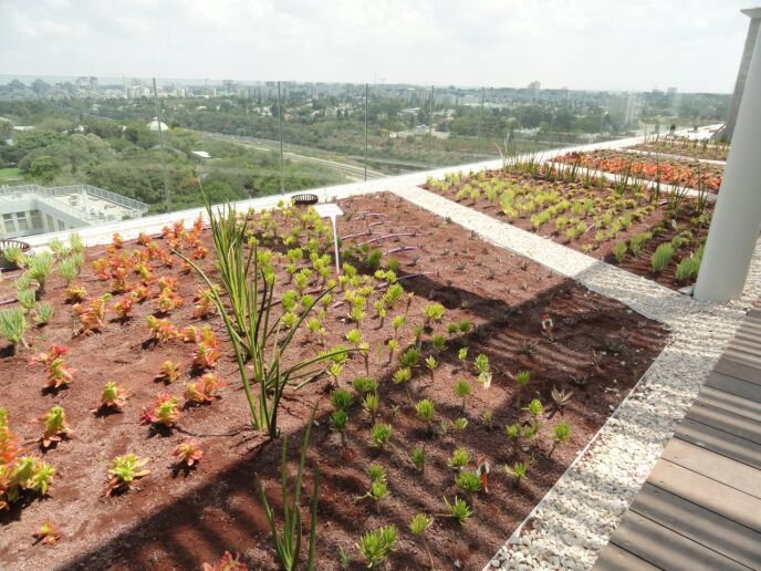 Plants on the building’s roof were carefully chosen. Photo by Karin Kloosterman