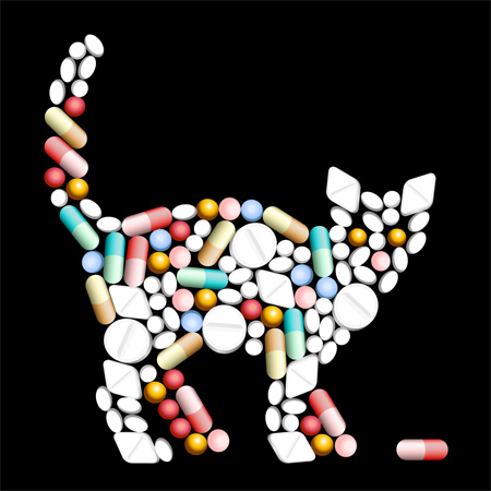 Cats could hold the clue to new anti-HIV drugs. (Shutterstock)
