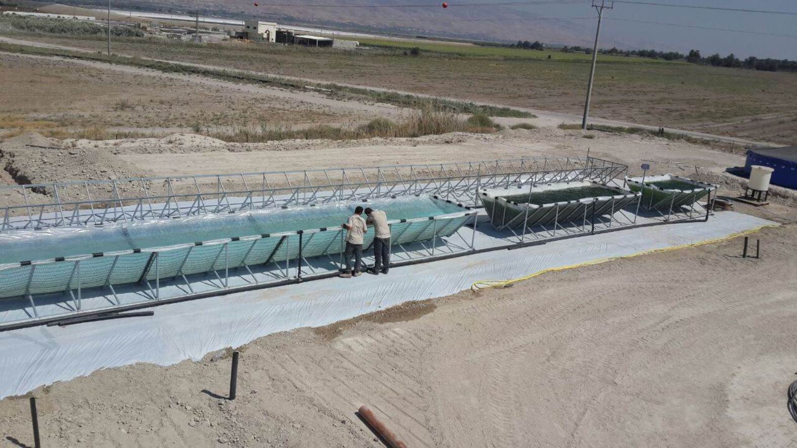 Univerve’s microalgae farm under construction in the Beit She’an Valley. Photo: courtesy