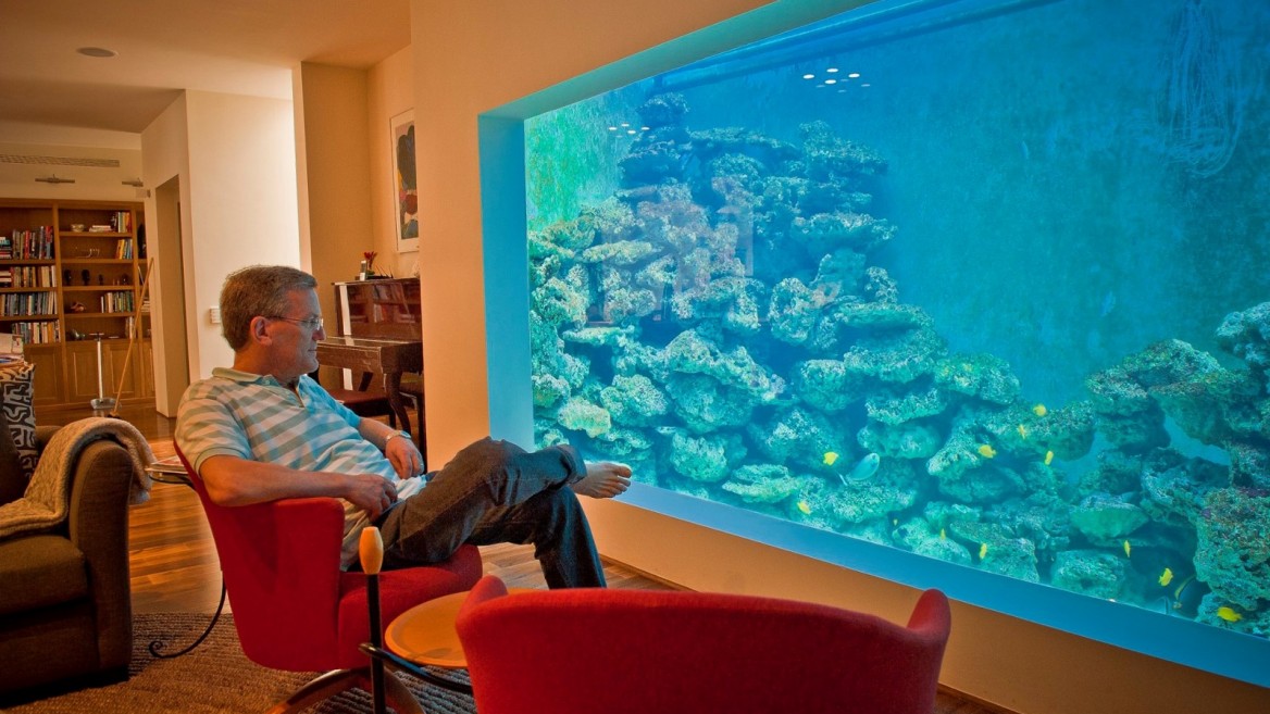 Eli Fruchter’s home reef holds 150 fish plus corals. Photo via Facebook/ElisReefAquarium