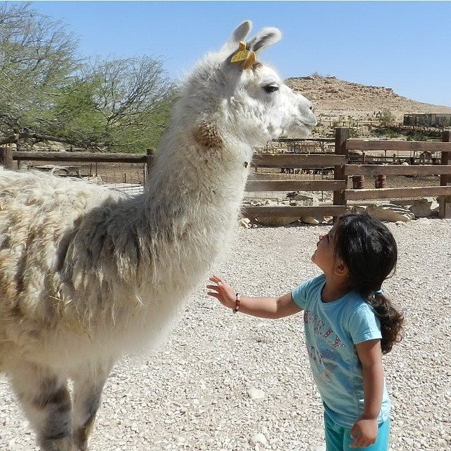 Great friends come in all shapes and sizes! #Summer #Friendship #ISRAEL21c