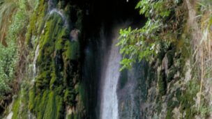 Nahal David waterfall in Ein Gedi. Photo courtesy of Israel Tourism Ministry