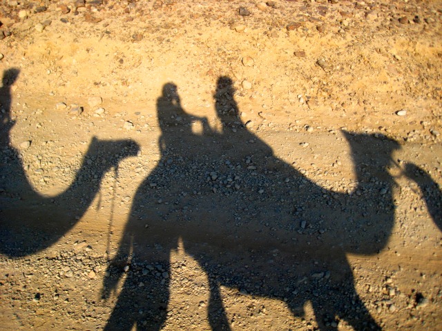 Camel ride