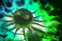 Stem cells. Image via Shutterstock.com