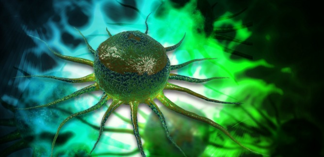 Stem cells. Image via Shutterstock.com