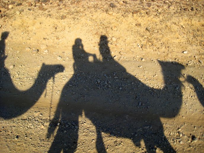 A camel ride in the Negev Desert. Photo by Darren Dublet