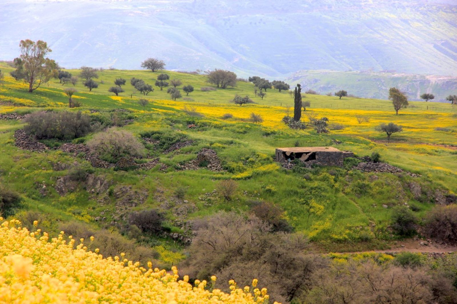 Photo of Golan Trail by Israel Eshed
