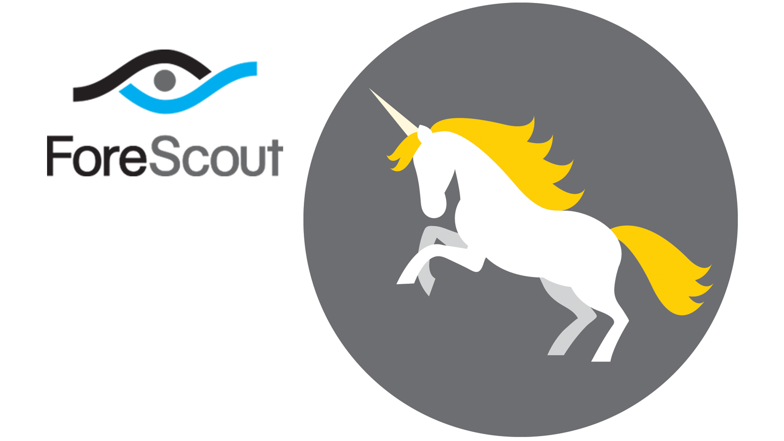 Cyber unicorn: ForeScout hits billion-dollar mark - ISRAEL21c