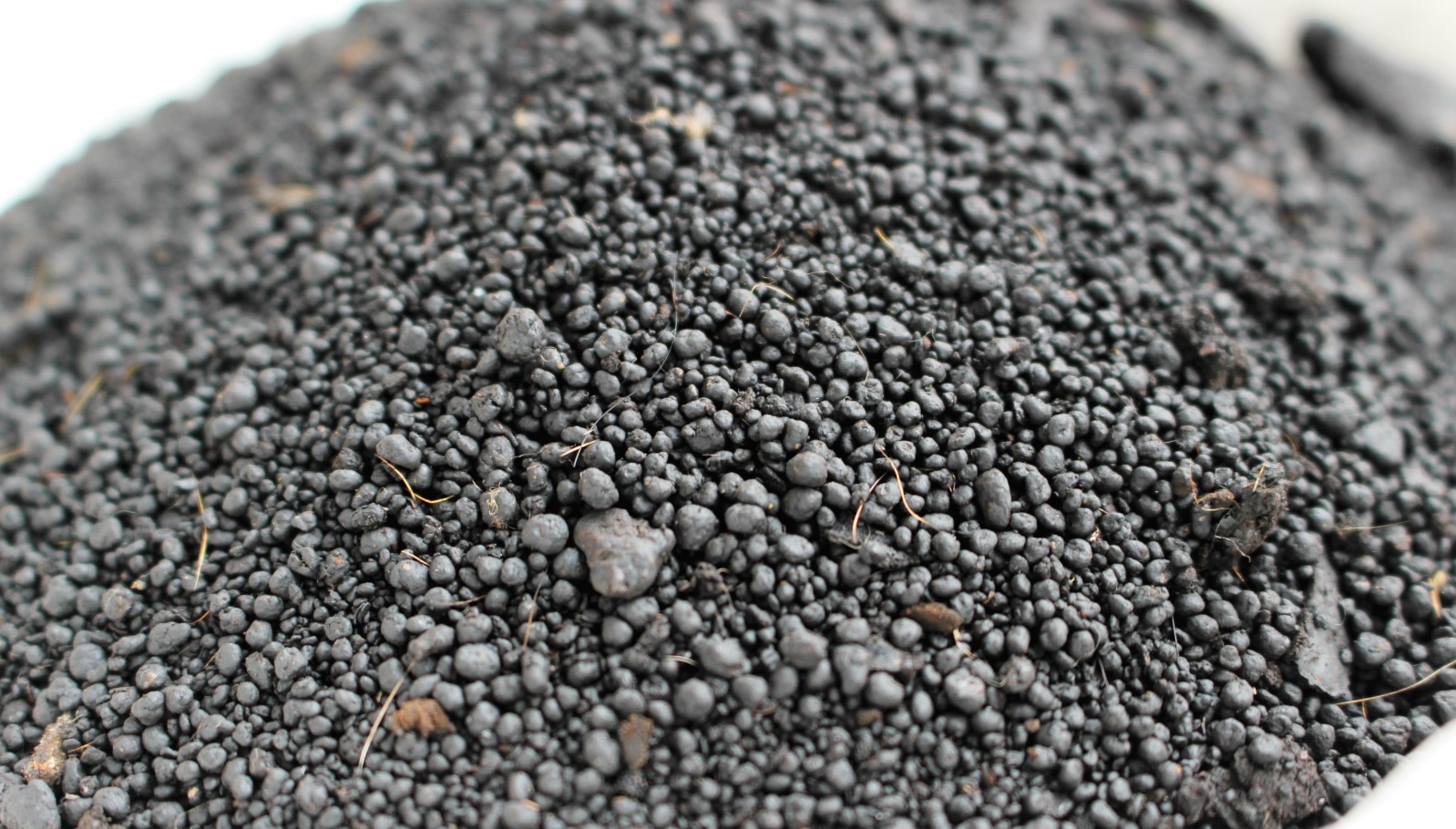 Odorless, sterile fertilizer transformed from solid waste. Photo courtesy of Epic CleanTec