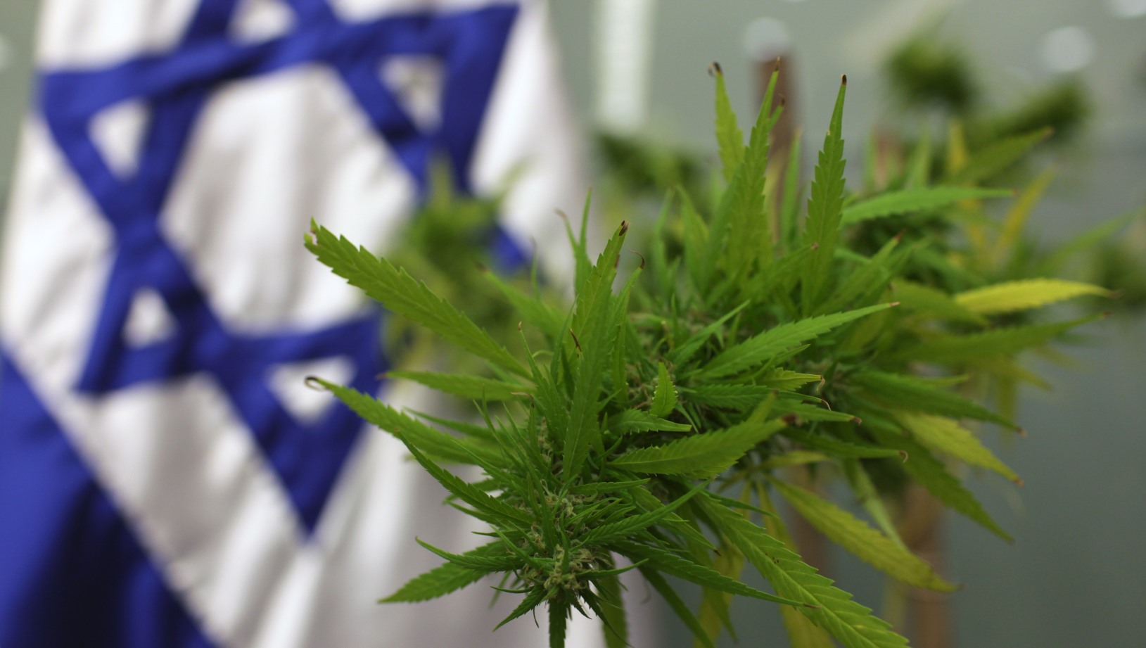 Израиль купить марихуану сайт тор браузер hyrda вход