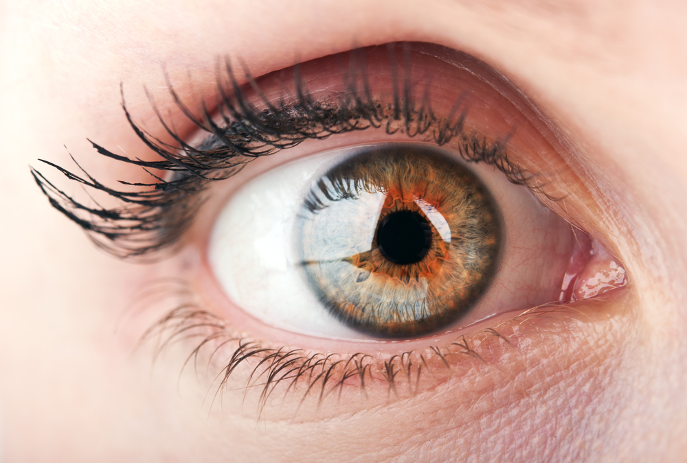 Whole Eye Transplant- A Genuine Possibility? – Medical & Health Tourism
