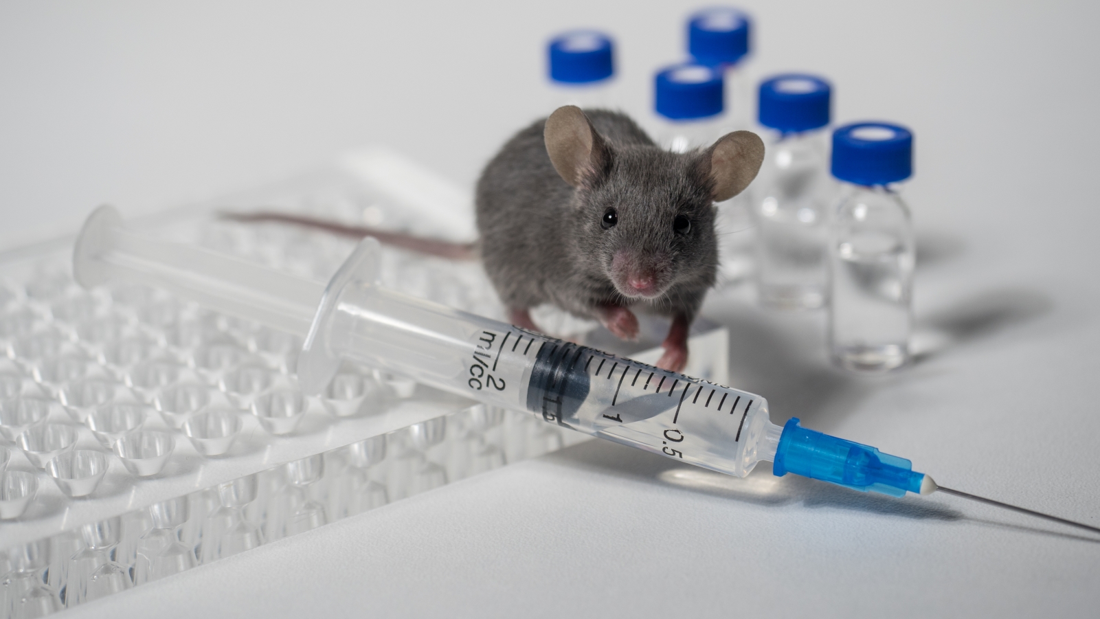 Big data can make lab-mice studies more relevant to humans ...