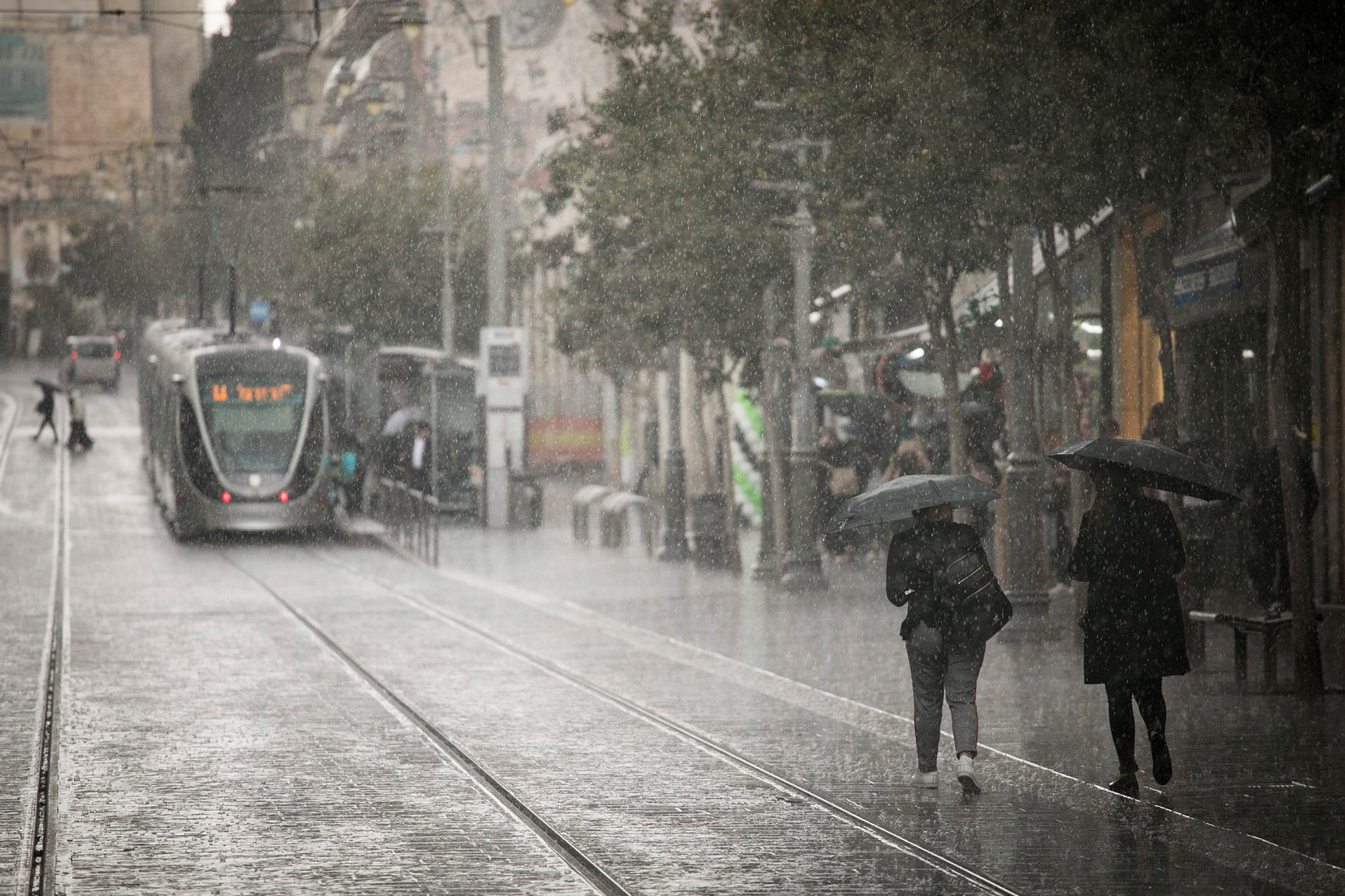10 watery photos of Israel's unusually wet winter - ISRAEL21c