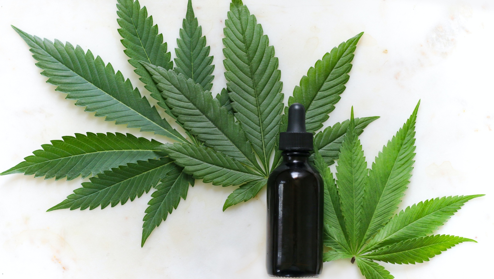 KIEHL'S - Cannabis Sativa Seed Oil Herbal Concentrate 30ml - Selfridges.com