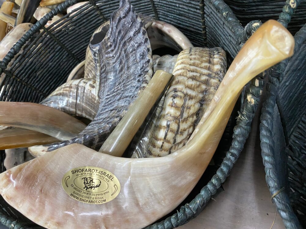 A basketful of finished shofars of different styles. Photo by Abigail Leichman