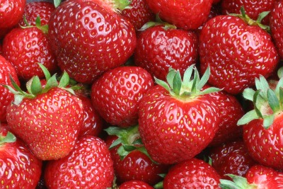 Winter strawberries