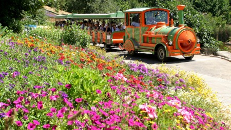 Jerusalem Botanical Gardens